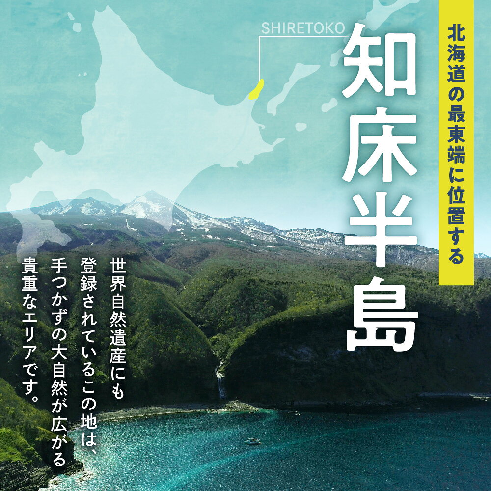 【ふるさと納税】知床観光船おーろら 利用優待券(3,000円分) 利用優待券 世界自然遺産 クルーズ 観光船 ウトロ 出航 クルーズ体験 家族旅行 観光アクティビティ カムイワッカ ルシャ 知床岬 北海道 斜里町 f015458-shari-10000722 北海道斜里町 サンプル画像2