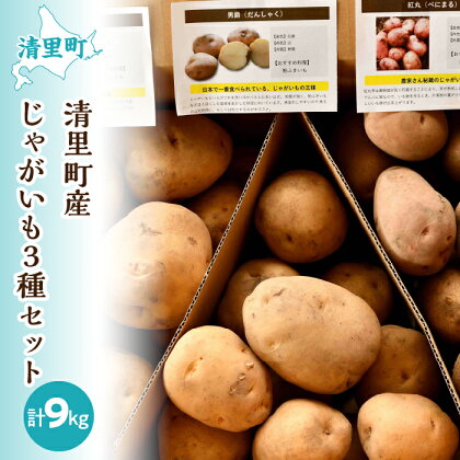 清里町産じゃがいも3種セット＜計9kg＞ 【 ふるさと納税 人気 おすすめ ランキング 野菜 じゃがいも いも ジャガイモ イモ 北海道 清里町 送料無料 】 KYSB013