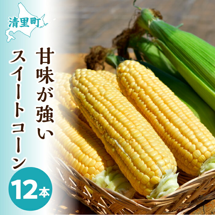 ＜先行受付＞甘味が強い北海道清里町のスイートコーン12本 【 ふるさと納税 人気 おすすめ ランキング 穀物 とうもろこし トウモロコシ スイートコーン コーン 北海道 清里町 送料無料 】 KYSB017