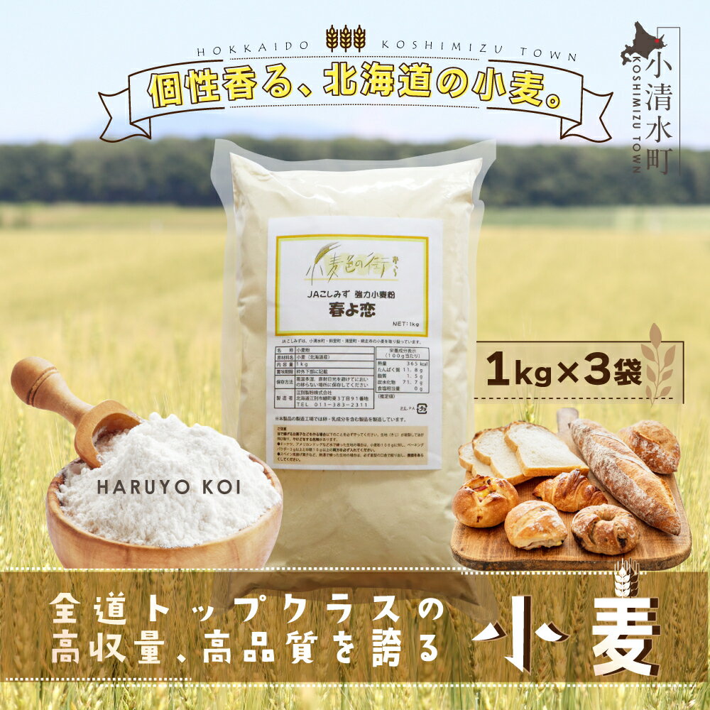 北海道小清水町産 「春よ恋」強力小麦粉3kg(1kg×3袋)[01010]