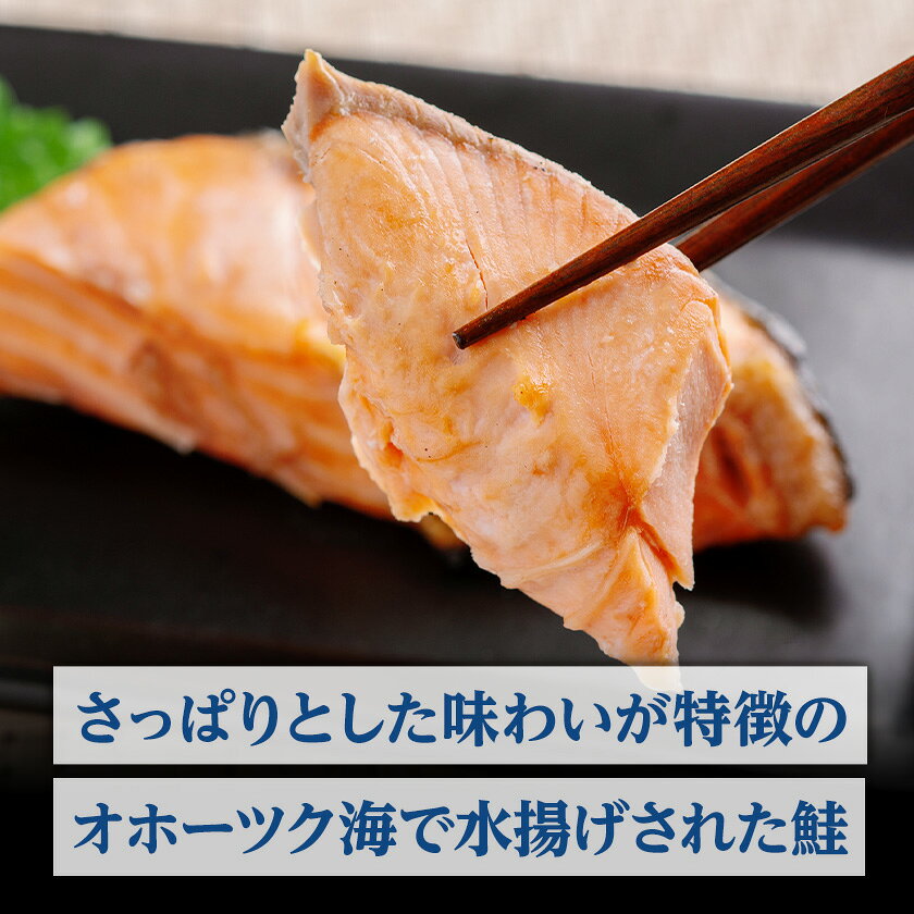 【ふるさと納税】天然　新巻鮭半身切身　(2切れ×5パック)_ 天然 新巻鮭 鮭 切身 人気 美味しい 北海道産 小分け 焼き魚 冷凍 天然 簡単調理 真空パック 切り身【配送不可地域：離島】【1683196】