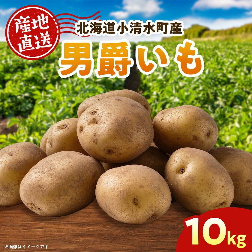 北海道小清水町産 男爵いも10kg ほくほく食感 産地直送【1763224】