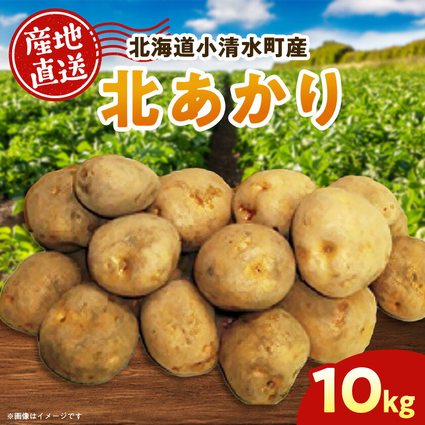 北海道小清水町産 北あかり10kg 甘み豊かな人気じゃがいも【1763226】