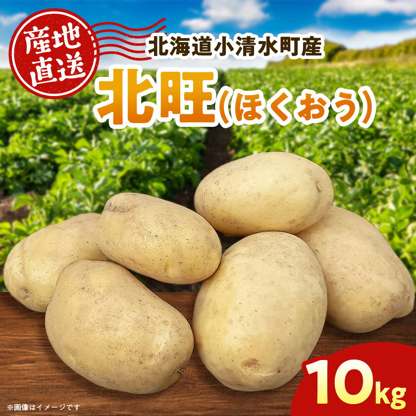 北海道小清水町産 北旺10kg 煮物におすすめのじゃがいも【1763278】
