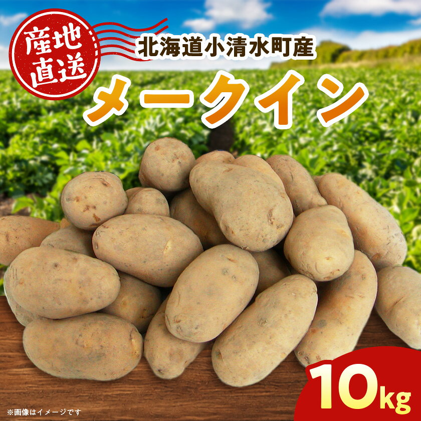 北海道小清水町産 メークイン10kg 煮崩れしにくいじゃがいも【1763284】