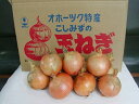 1位! 口コミ数「3件」評価「5」小清水町産玉ねぎ 20kg【01006a】