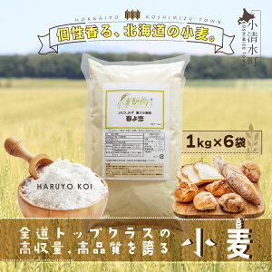 【ふるさと納税】北海道小清水町産 「春よ恋」強力小麦粉6kg(1kg×6袋)【01011】