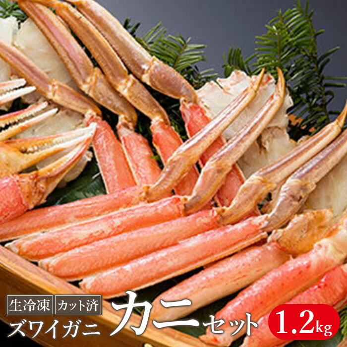 生冷凍 カット済 ずわい蟹 カニセット 1.2kg
