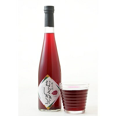 【ふるさと納税】赤シソ飲料「むらさきしきぶ」500ml×2本【1053557】