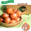 【ふるさと納税】佐藤農場の玉葱20kg【配送不可地域:離島・沖縄県】【1097717】