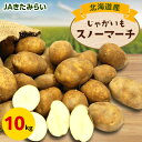 【ふるさと納税】JAきたみらい スノーマーチ(いも) 10kg【配送不可地域:離島・沖縄県】【1292796】