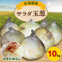【ふるさと納税】JAきたみらい サラダ玉葱 10kg【配送不可地域:離島・沖縄県】【1292813】