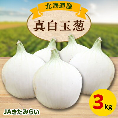 【ふるさと納税】JAきたみらい　真白玉葱　3kg【配送不可地域：離島・沖縄県】【1292832】のサムネイル