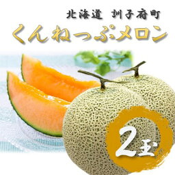 【ふるさと納税】【2024年7月下旬より順次発送予定】高城農園のくんねっぷメロン2玉【配送不可地域：離島・沖縄県】【1402284】