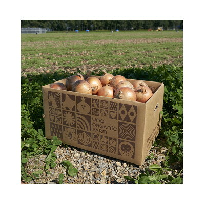 【ふるさと納税】UNO ORGANIC FARM　北海道訓子府産　オーガニック玉ねぎ　10kg　【有機JAS認証】【配送不可地域：離島・沖縄県】【1455290】