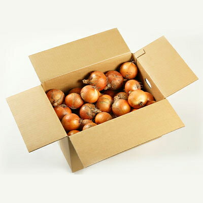 【ふるさと納税】有機玉葱　9kg～9.5kg【配送不可地域：離島・沖縄県】【1056703】