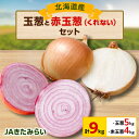【ふるさと納税】JAきたみらい「玉葱×5kg」・「赤玉葱(くれない)×4kg」セット【配送不可地域:離島・沖縄県】【1292828】