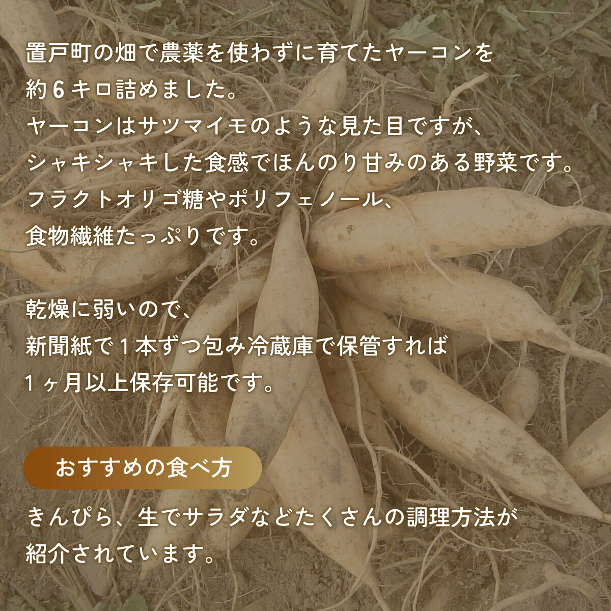 北海道置戸町の画像2