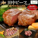 【ふるさと納税】田中ビーフセット(グラスフェッド) 【 ふるさと納税 人気 おすすめ ランキング 牛肉 牛 ステーキ シャトーブリアン サーロイン リブロース スライス スジ ひき肉 北海道 置戸町 送料無料 】 OTH001