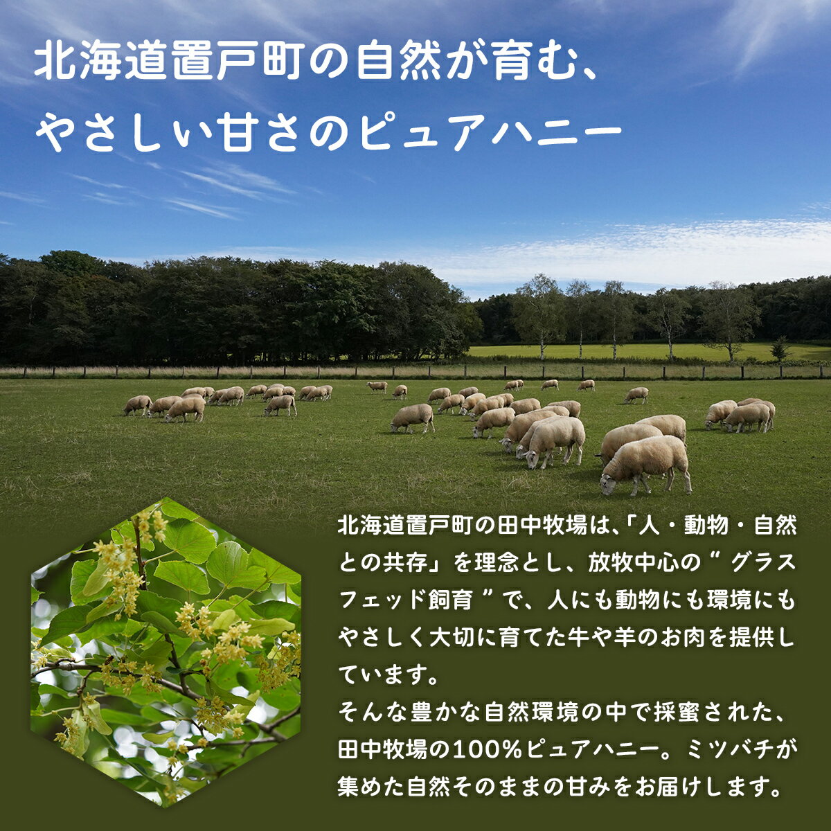北海道置戸町の画像2