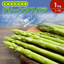  グリーンアスパラ 1kg（L～3L）旬の採れたて 北海道 佐呂間産（2024年7月出荷開始先行予約）  SRMM016