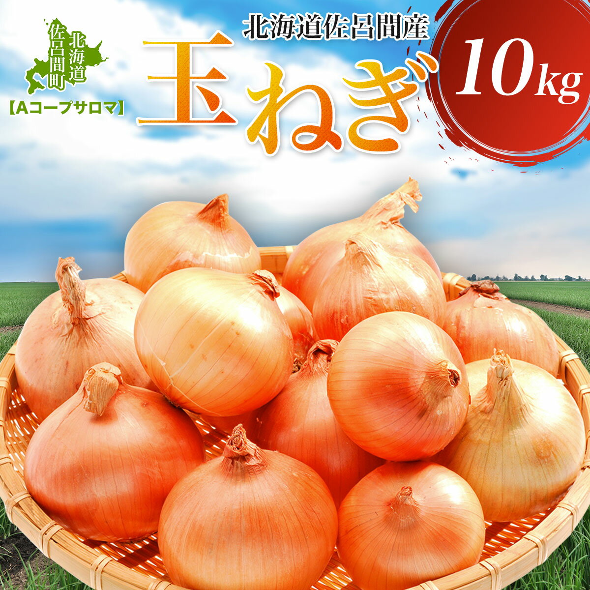 【ふるさと納税】玉ねぎ 10kg 北海道 佐呂間産（2024年10月出荷開始先行予約） 【 ふるさと納税 人気 おすすめ ランキング 野菜 玉ねぎ タマネギ たまねぎ おいしい 美味しい 新鮮 北海道 佐呂間町 送料無料 】 SRMM019