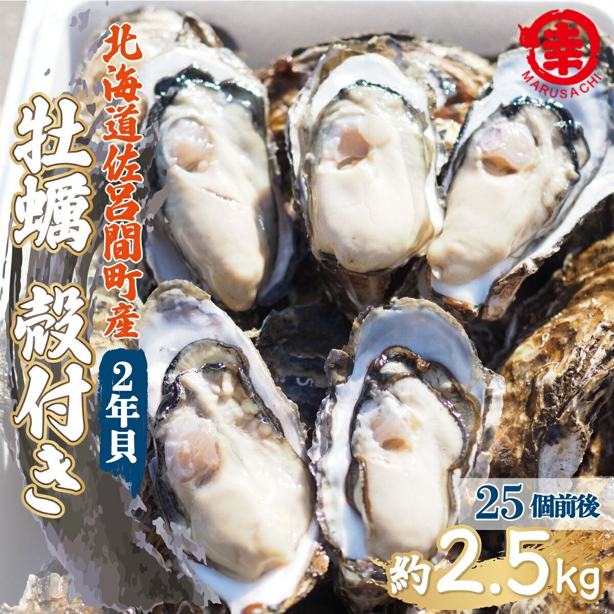 【ふるさと納税】【先行予約】カキ 殻付き 2年貝 約2.5kg（25個前後） 佐呂間産（2024年10月中旬より発送） 【 ふるさと納税 人気 おすすめ ランキング 牡蠣 カキ かき 貝 牡蠣貝 殻付き ギフト 贈答 バーベキュー 冷蔵 海鮮 オホーツク 北海道 佐呂間町 送料無料 】 SRMA002