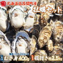 【ふるさと納税】【先行予約】カキ 殻付き2年貝約2.5kg・むき身1年貝400g（200g無水パック×2） セット 佐呂間産（2024年10月中旬より発..