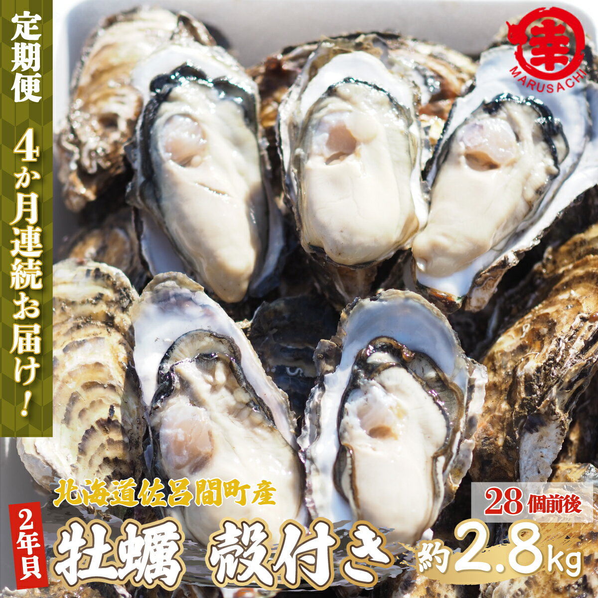 カキ 殻付き 2年貝 約2.8kg（28個前後） 佐呂間産 ［4回定期便］（2024年10月中旬より発送） SRMA005