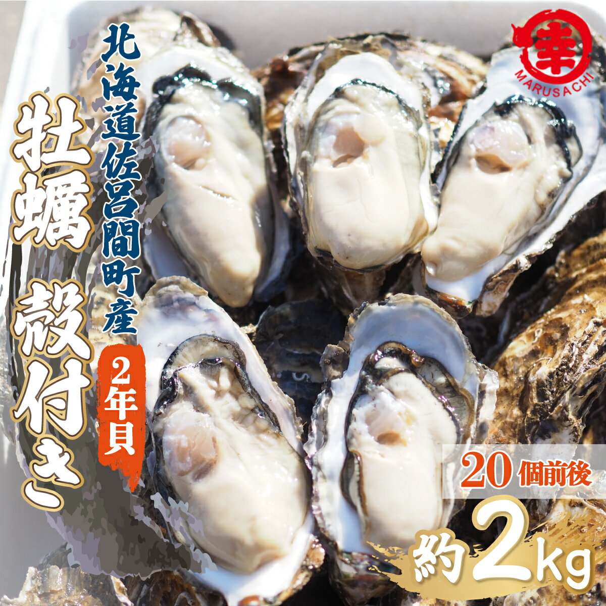 【ふるさと納税】【先行予約】カキ 殻付き 2年貝 約2kg（20個前後） 佐呂間産（2024年10月中旬より発...