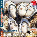 3位! 口コミ数「1件」評価「3」カキ 殻付き 2年貝 約3kg（30個前後） 佐呂間産 ［2回定期便］（2024年10月中旬より発送） 【 ふるさと納税 人気 おすすめ ラ･･･ 