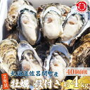 【ふるさと納税】【先行予約】【10月中旬から順次発送】カキ 殻付き 2年貝 約4kg(40個前後) 佐呂間産 【 ふるさと納税 人気 おすすめ ランキング 牡蠣...