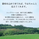 【ふるさと納税】サロマ和牛 スネ肉 1kg（200g×5） 【 ふるさと納税 人気 おすすめ ランキング 肉 牛肉 和牛 ブランド牛 牛すね肉 サロマ和牛 牛煮込み 美味しい 北海道 佐呂間町 送料無料 】 SRMD015 3