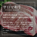 【ふるさと納税】サロマ和牛 スネ肉 1kg（200g×5） 【 ふるさと納税 人気 おすすめ ランキング 肉 牛肉 和牛 ブランド牛 牛すね肉 サロマ和牛 牛煮込み 美味しい 北海道 佐呂間町 送料無料 】 SRMD015 2