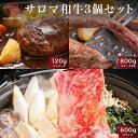 【ふるさと納税】サロマ和牛 ステーキ4枚800g・スライス600g・ハンバーグ120g×3個セット 【 ふるさと納税 人気 おすすめ ランキング 肉 牛肉 牛サ...