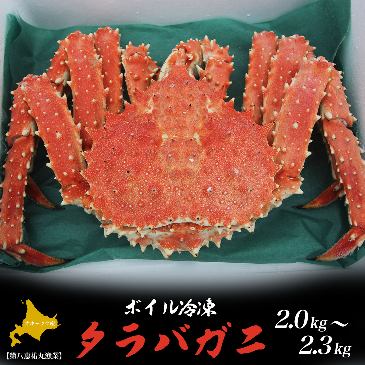 タラバガニ ボイル冷凍 2.0～2.3kg オホーツク産 【 ふるさと納税 人気 おすすめ ランキング 魚介類 カニ かに 蟹 たらばがに タラバガニ 冷凍 オホーツク産 北海道 佐呂間町 送料無料 】 SRMN006