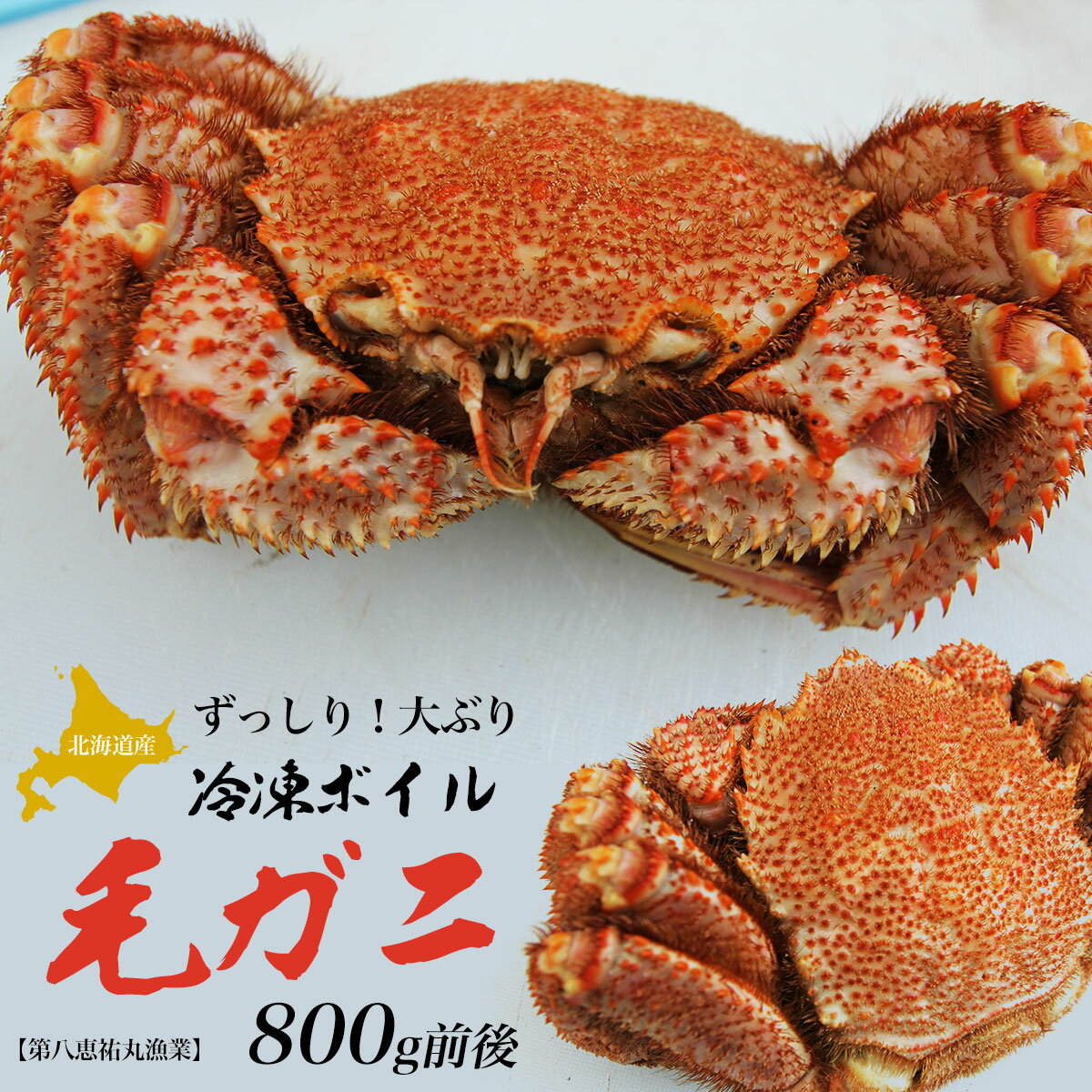 【ふるさと納税】北海道産 ずっしり!大ぶり 冷凍ボイル毛ガニ 800g前後 【 ふるさと納税 人気 おすすめ ランキング 魚介類 北海道 オホーツク 毛がに 毛ガニ 毛蟹 けがに かに 蟹 カニ カニミソ かに味噌 ボイル 北海道 佐呂間町 送料無料 】 SRMN024