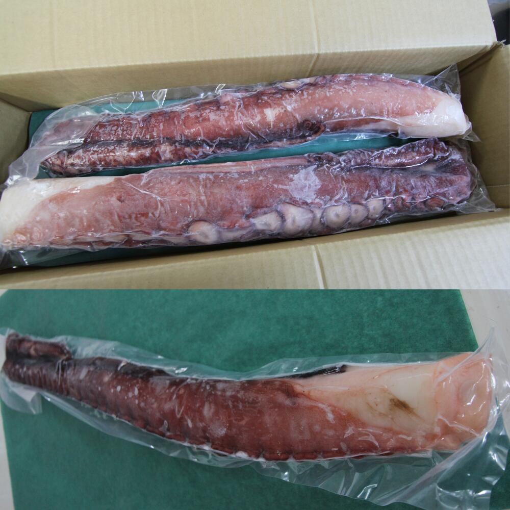 【ふるさと納税】北海道産 冷凍 タコボイル 約1.5kg 【 ふるさと納税 人気 おすすめ ランキング 魚介類 北海道 オホーツク たこ タコ 蛸 茹でだこ 茹でダコ ボイル タコボイル 北海道 佐呂間町 送料無料 】 SRMN016