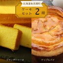 ブランデーケーキ 【ふるさと納税】 2種のケーキセット（ブランデーケーキ・アップルパイ） 【 ふるさと納税 人気 おすすめ ランキング 菓子 ケーキ ブランデーケーキ アップルパイ 甘い 美味しい 北海道 佐呂間町 送料無料 】 SRMJ048