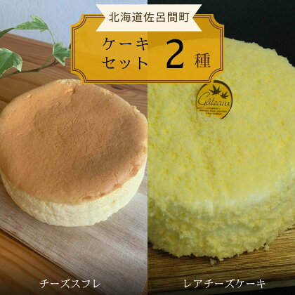 2種のケーキセット（チーズスフレ・レアチーズケーキ） 【 ふるさと納税 人気 おすすめ ランキング 菓子 焼菓子 チーズスフレ レアチーズケーキ 甘い 美味しい 北海道 佐呂間町 送料無料 】 SRMJ021