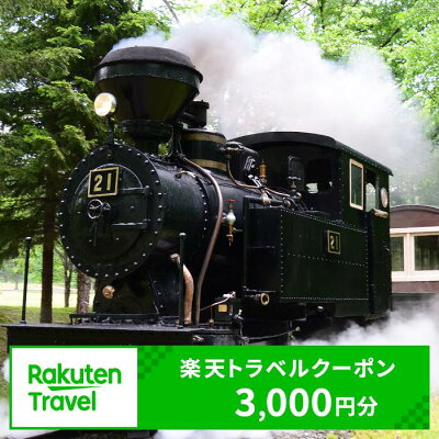 楽天ふるさと納税　【ふるさと納税】北海道遠軽町の対象施設で使える楽天トラベルクーポン 寄附額10,000円