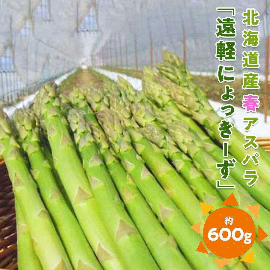 【ふるさと納税】 2026年 春アスパラ600g ( ふるさと納税 アスパラガス グリーンアスパラ 野菜 健康食材 天ぷら 炒め物 パスタ サラダ 大容量 北海道 遠軽町 えんゆう農業協同組合 ) en01-00001