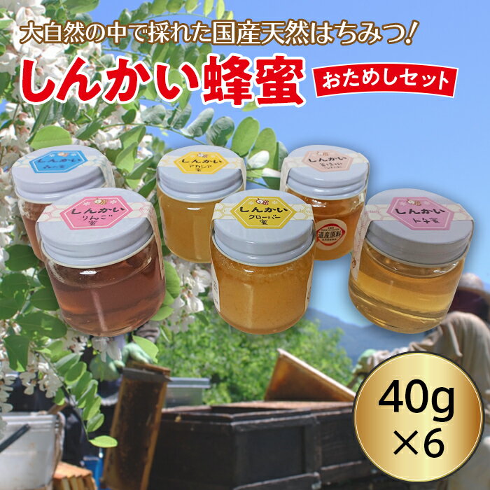 【ふるさと納税】国産天然 しんかい蜂蜜おためしセット
