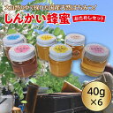 【ふるさと納税】国産天然 しんかい蜂蜜おためしセット