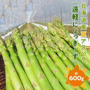 【ふるさと納税】 2025年夏アスパラ600g ( ふるさと納税 アスパラガス グリーンアスパラ 野菜 健康食材 天ぷら 炒め物 パスタ サラダ 大容量 北海道 遠軽町 えんゆう農業協同組合 ) en01-00005