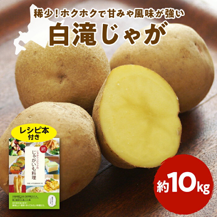 2026白滝じゃが 約10kg [レシピ本付き] ( ふるさと納税 じゃがいも ジャガイモ 北海道産 希少生産 白滝じゃが 大容量 北海道 遠軽町 えんゆう農業協同組合 ) en01-00043