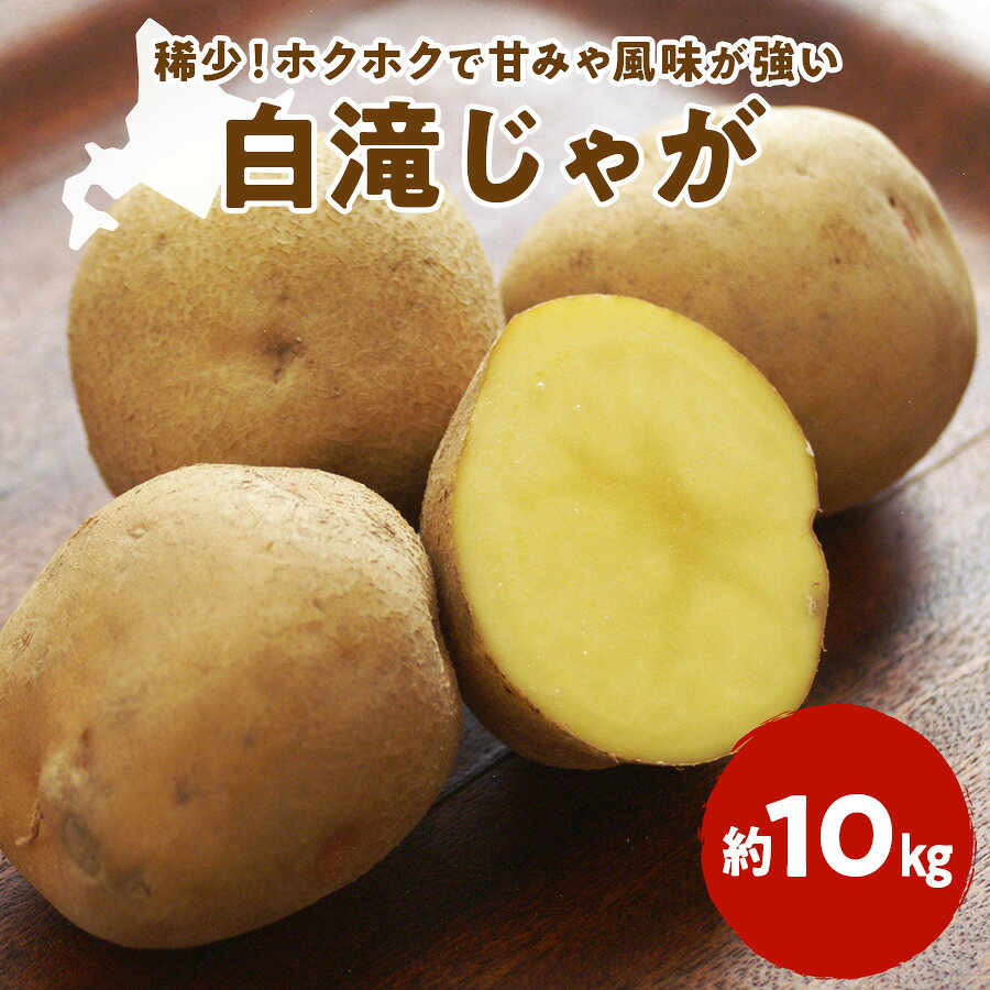 2026白滝じゃが 約10kg ( ふるさと納税 じゃがいも ジャガイモ 北海道産 希少生産 白滝じゃが 大容量 北海道 遠軽町 えんゆう農業協同組合 ) en01-00044