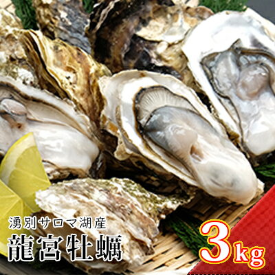 【ふるさと納税】 【11月から配送】湧別サロマ湖産龍宮牡蠣3kg（2年カキ）　【魚貝類・生牡蠣・かき・カキ・3kg】　お届け：2021年11月〜12月10日頃まで