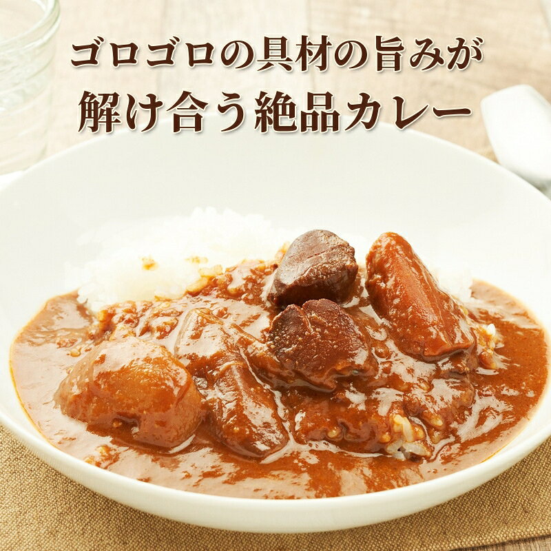 【ふるさと納税】野菜ビーフカレー・野菜ほたてカレー 各5個 惣菜 レトルト インスタント 帆立 ホタテ f015598-yubetsu-10000032 北海道湧別町 サンプル画像3