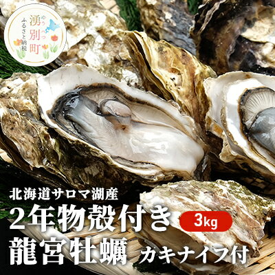 【国内消費拡大求む】先行予約 北海道 サロマ湖産 龍宮牡蠣 3kg（ 2年物 殻付き カキ ）カキナイフ付 牡蠣 海鮮 魚介 国産 貝付き 生牡蠣 生食 焼き牡蠣 蒸し牡蠣 冷蔵 産地直送 オホーツク　【湧別町】　お届け：2024年11月～12月10日